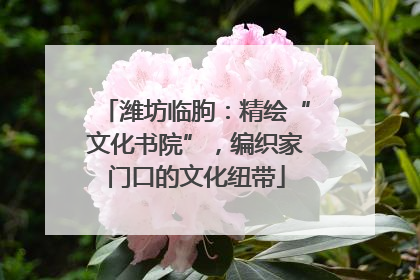 潍坊临朐：精绘“文化书院”，编织家门口的文化纽带