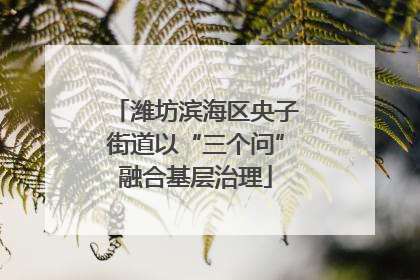 潍坊滨海区央子街道以“三个问”融合基层治理