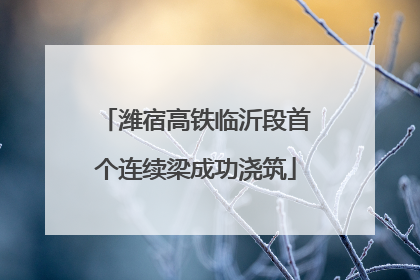 潍宿高铁临沂段首个连续梁成功浇筑