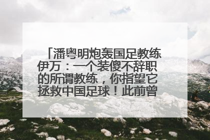 潘粤明炮轰国足教练伊万：一个装傻不辞职的所谓教练，你指望它拯救中国足球！此前曾多次发文评价国足
