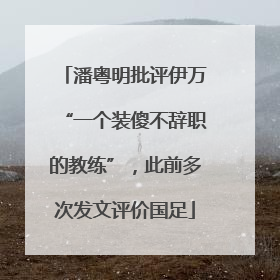 潘粤明批评伊万“一个装傻不辞职的教练”，此前多次发文评价国足