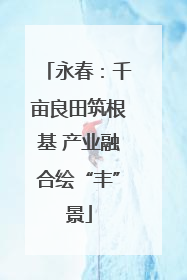 永春：千亩良田筑根基 产业融合绘“丰”景