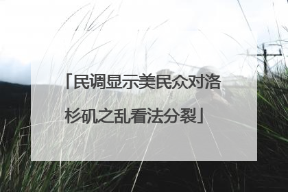 民调显示美民众对洛杉矶之乱看法分裂