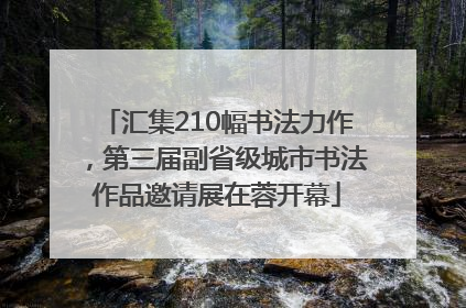 汇集210幅书法力作，第三届副省级城市书法作品邀请展在蓉开幕