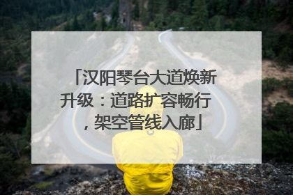 汉阳琴台大道焕新升级：道路扩容畅行，架空管线入廊
