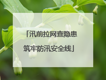 汛前拉网查隐患 筑牢防汛安全线