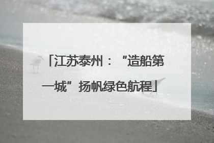 江苏泰州：“造船第一城”扬帆绿色航程