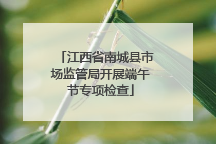 江西省南城县市场监管局开展端午节专项检查