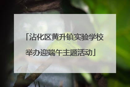 沾化区黄升镇实验学校举办迎端午主题活动