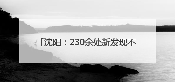 沈阳：230余处新发现不可移动文物重现城市记忆