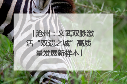 沧州：文武双脉激活“双遗之城”高质量发展新样本