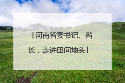 河南省委书记、省长，走进田间地头