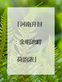 河南开封：金明池畔荷韵浓