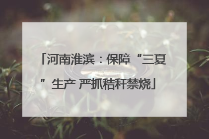 河南淮滨：保障“三夏”生产 严抓秸秆禁烧