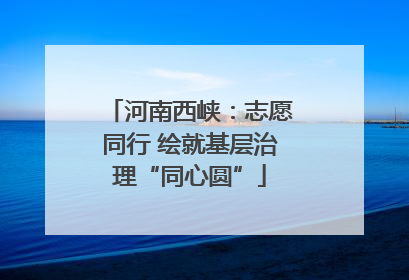河南西峡：志愿同行 绘就基层治理“同心圆”