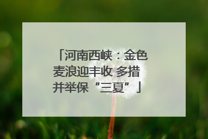 河南西峡：金色麦浪迎丰收 多措并举保“三夏”