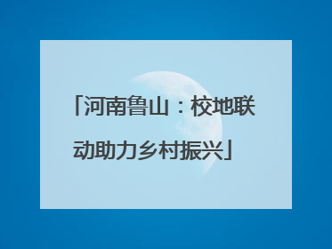 河南鲁山：校地联动助力乡村振兴