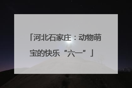 河北石家庄：动物萌宝的快乐“六一”