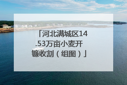 河北满城区14.53万亩小麦开镰收割（组图）
