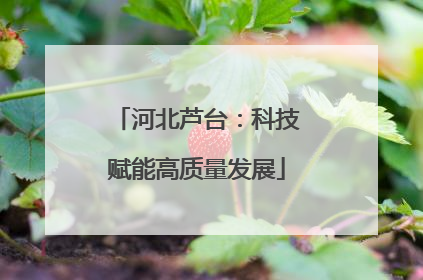 河北芦台：科技赋能高质量发展