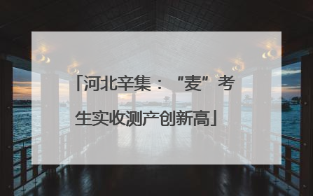 河北辛集：“麦”考生实收测产创新高