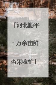 河北顺平：万余亩鲜杏采收忙