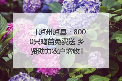 泸州泸县：8000只鸡苗免费送 乡贤助力农户增收