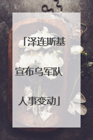 泽连斯基宣布乌军队人事变动