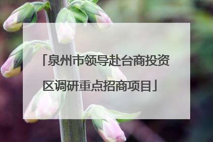 泉州市领导赴台商投资区调研重点招商项目