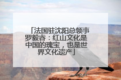 法国驻沈阳总领事罗毅睿：红山文化是中国的瑰宝，也是世界文化遗产