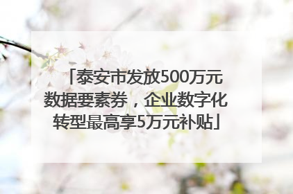 泰安市发放500万元数据要素券，企业数字化转型最高享5万元补贴