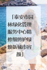 泰安市园林绿化管理服务中心精修细剪护绿焕新城市容颜