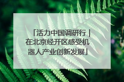 活力中国调研行｜在北京经开区感受机器人产业创新发展
