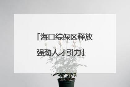 海口综保区释放强劲人才引力