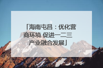 海南屯昌：优化营商环境 促进一二三产业融合发展