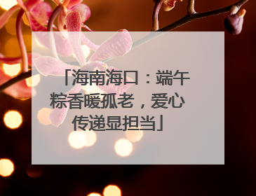 海南海口：端午粽香暖孤老，爱心传递显担当
