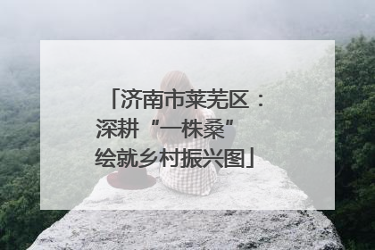 济南市莱芜区：深耕“一株桑” 绘就乡村振兴图