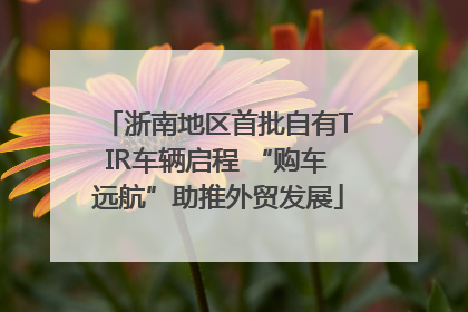 浙南地区首批自有TIR车辆启程 “购车远航”助推外贸发展