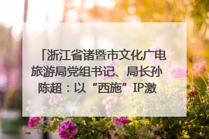 浙江省诸暨市文化广电旅游局党组书记、局长孙陈超：以“西施”IP激活全域旅游 打造县域文旅融合新标杆｜第七届全国县域旅游研究成果发布系列活动