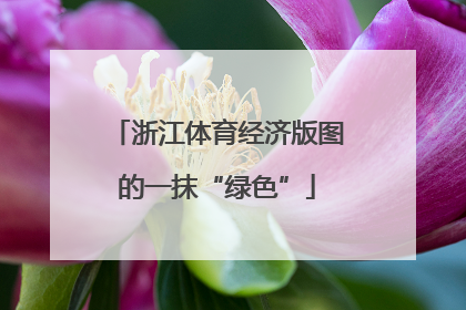 浙江体育经济版图的一抹“绿色”