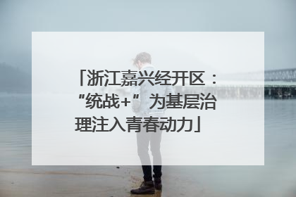 浙江嘉兴经开区：“统战+”为基层治理注入青春动力
