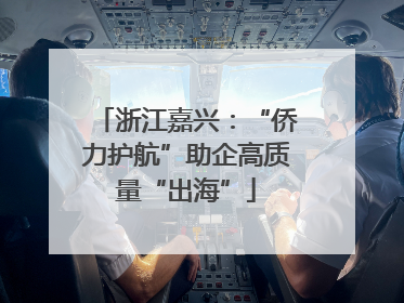 浙江嘉兴：“侨力护航”助企高质量“出海”