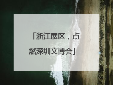 浙江展区，点燃深圳文博会