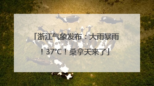 浙江气象发布：大雨暴雨！37℃！桑拿天来了