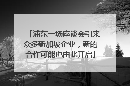 浦东一场座谈会引来众多新加坡企业，新的合作可能也由此开启