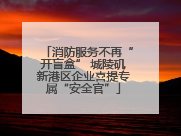 消防服务不再“开盲盒” 城陵矶新港区企业喜提专属“安全官”