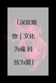 深度观察｜文化为魂 科技为翼