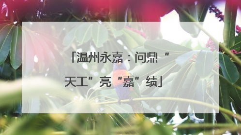 温州永嘉：问鼎“天工”亮“嘉”绩