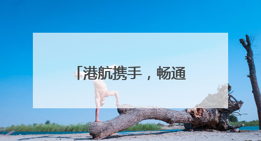 港航携手，畅通国际物流大通道