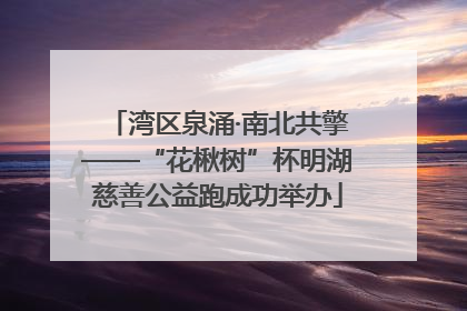 湾区泉涌·南北共擎——“花楸树”杯明湖慈善公益跑成功举办